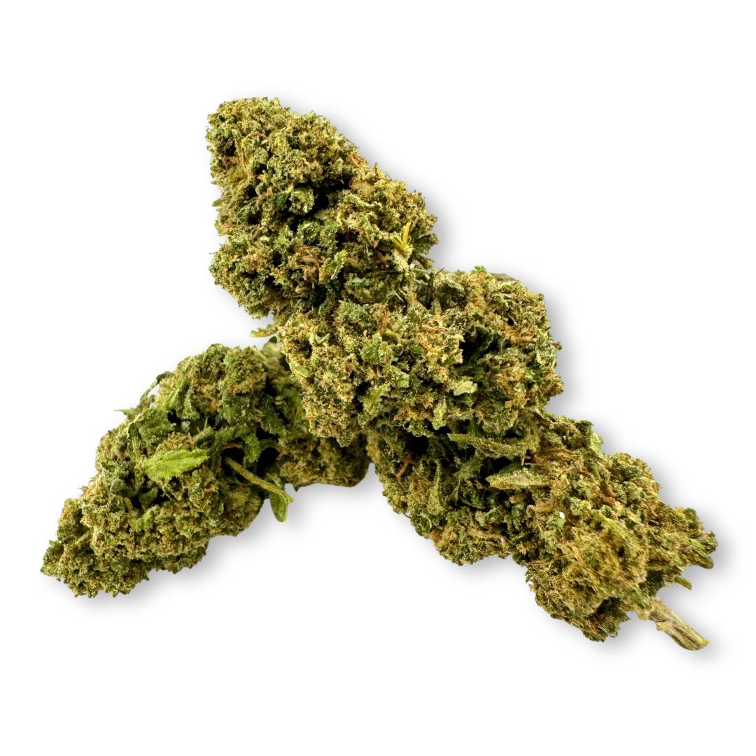 Pack écologique California Blueberry