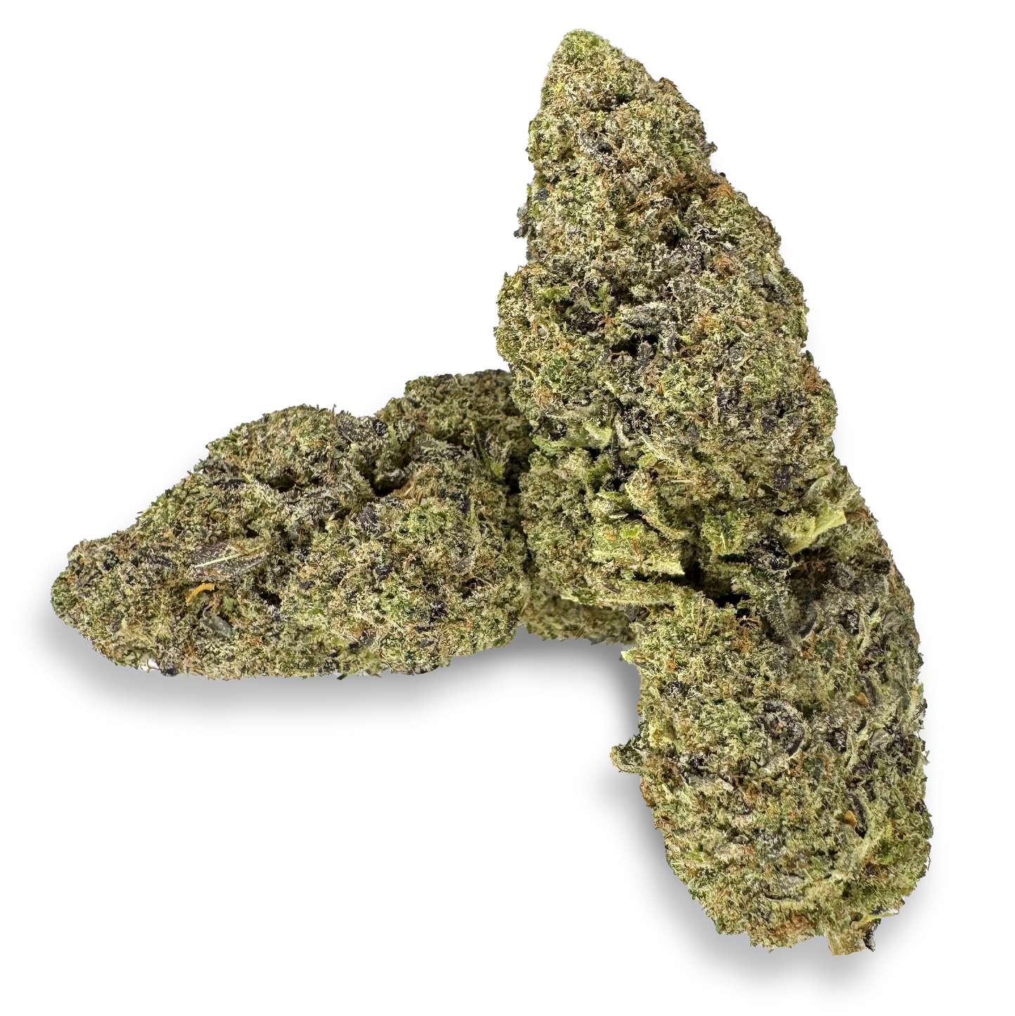 California Blueberry eco pack