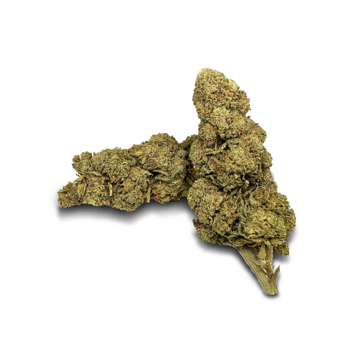 Orange Bud Bulk goods