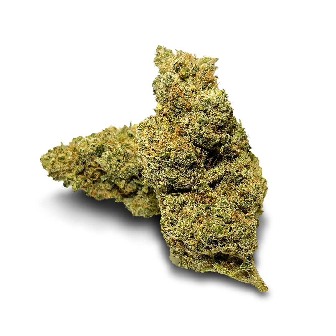 California Blueberry eco pack
