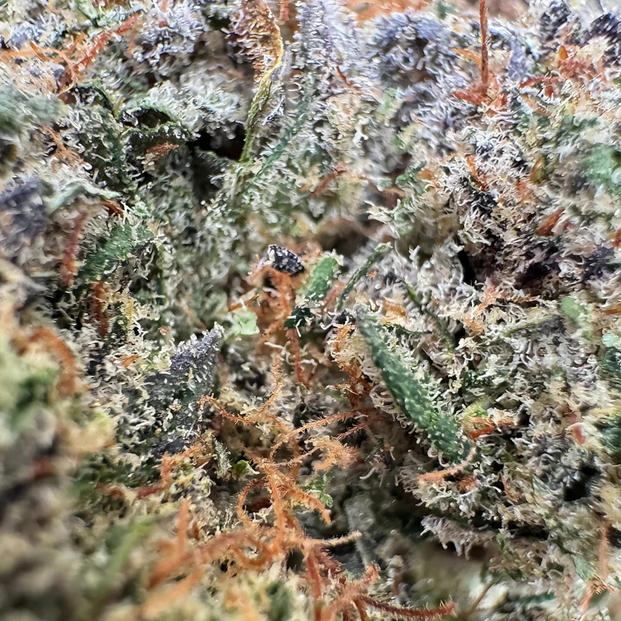 Berry Kush Bulk goods