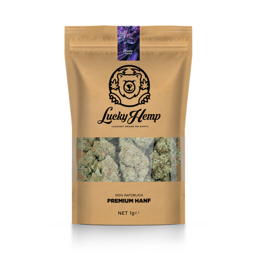 Pack écologique California Blueberry