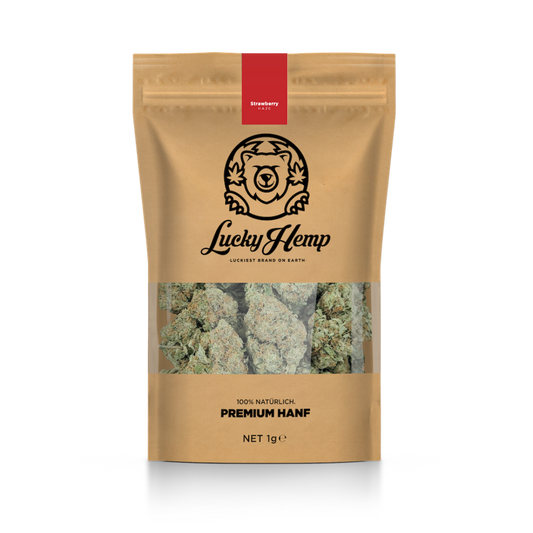 Pack écologique California Blueberry