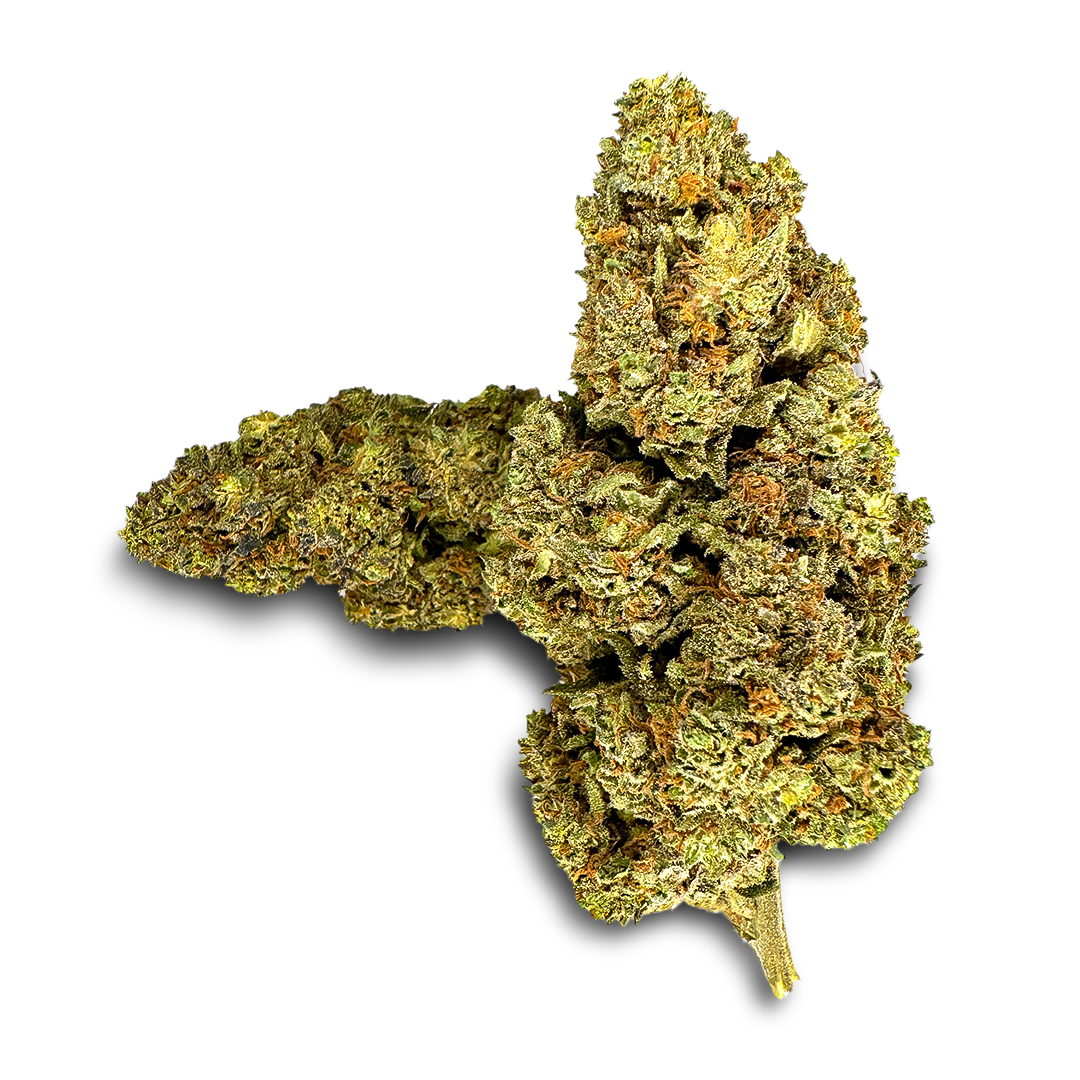 California Blueberry eco pack