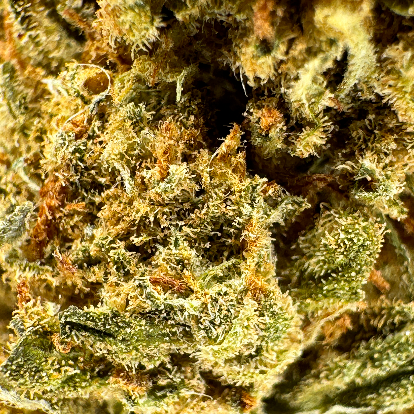 Super Lemon Haze en vrac