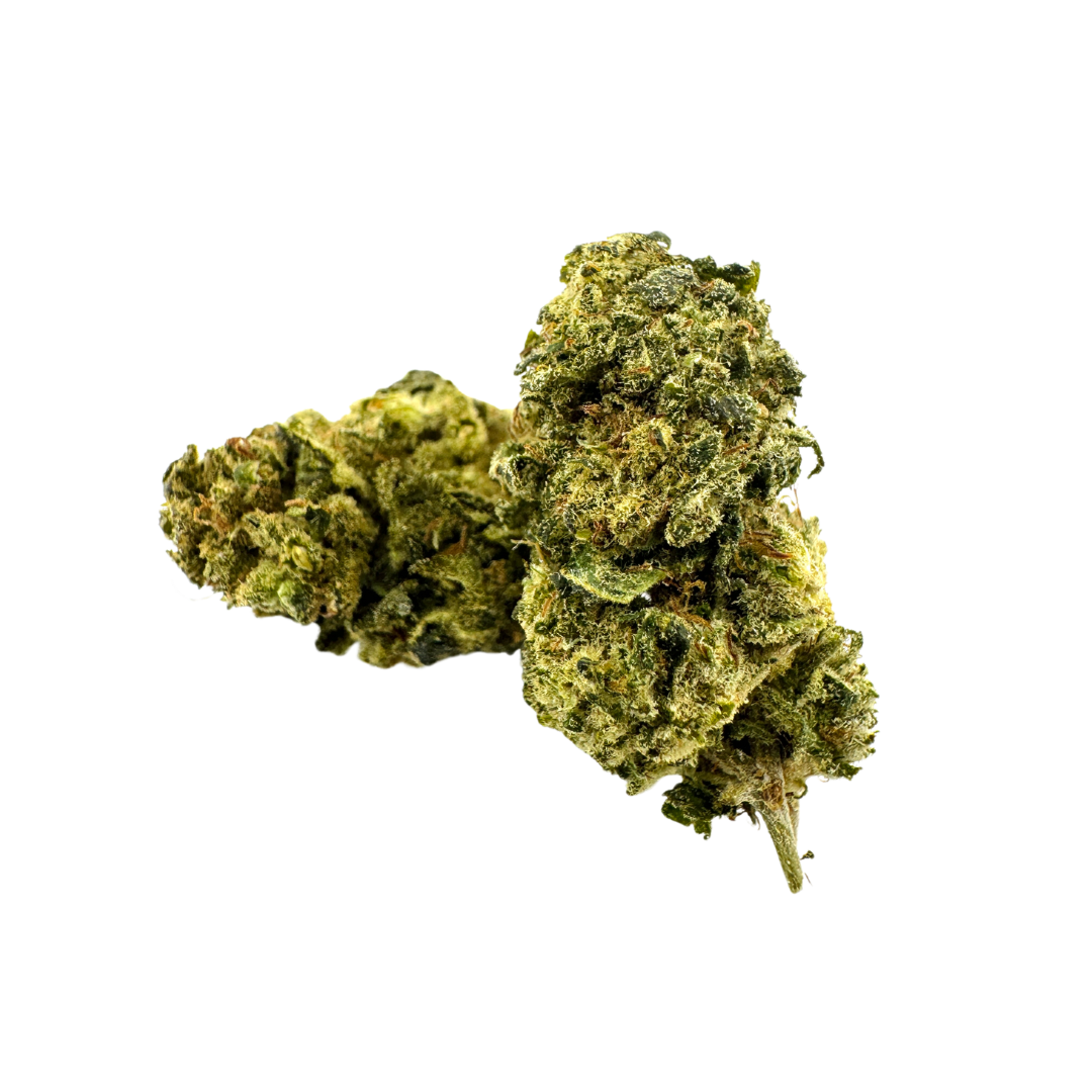 Pack écologique California Blueberry