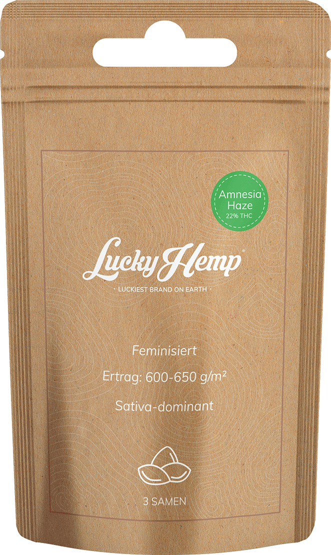 Samen Display 12 Sorten je 5 Packungen