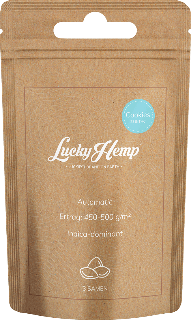 Samen Display 12 Sorten je 5 Packungen