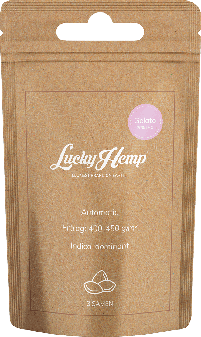 Samen Display 12 Sorten je 5 Packungen