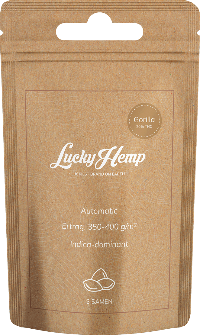 Samen Display 12 Sorten je 5 Packungen