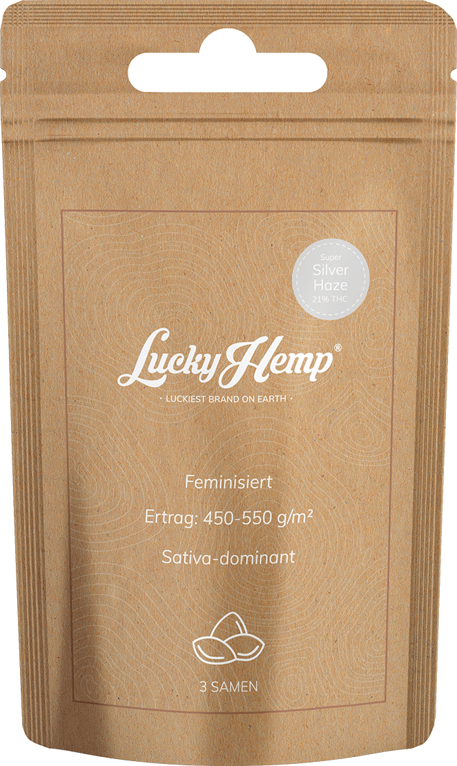 Samen Display 12 Sorten je 5 Packungen