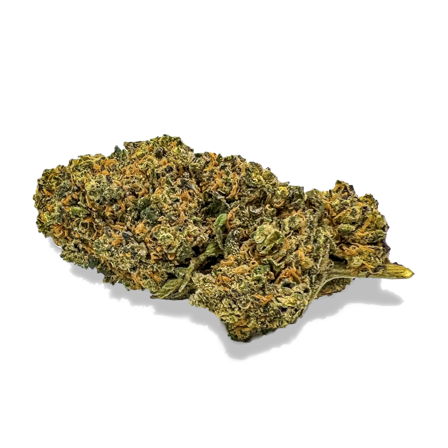California Blueberry Blüten Lucky Hemp