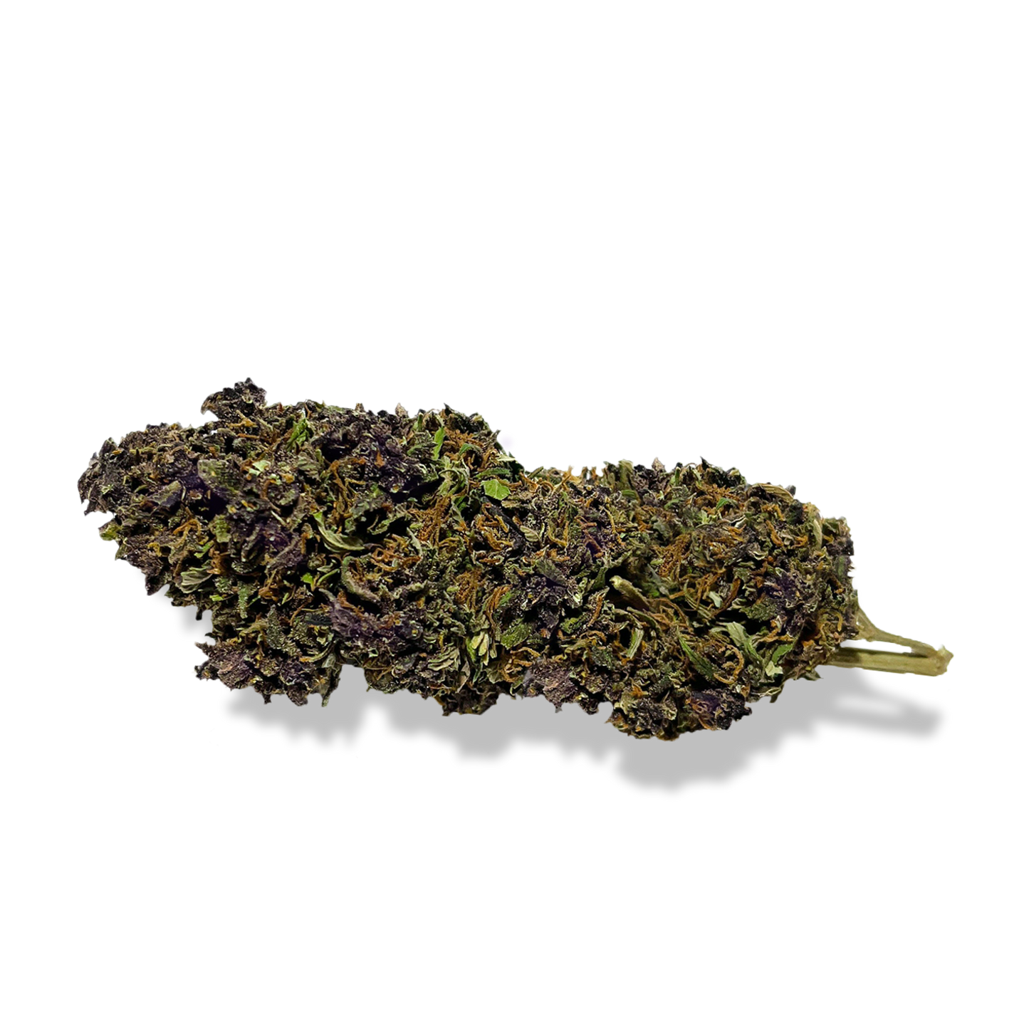 Purple Haze Ökopack Blüten Lucky Hemp