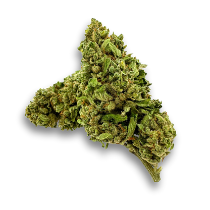 California Blueberry eco pack