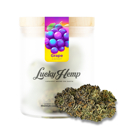 Candy Grape Blüten Lucky Hemp   