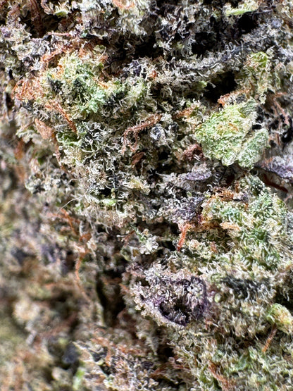Purple Punch Nachfüllpack