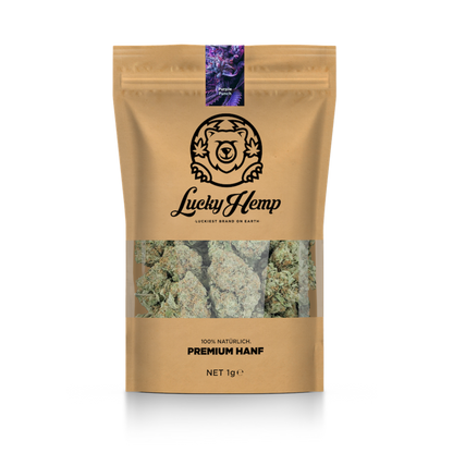 California Blueberry eco pack