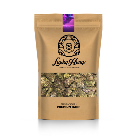 Purple Haze eco pack