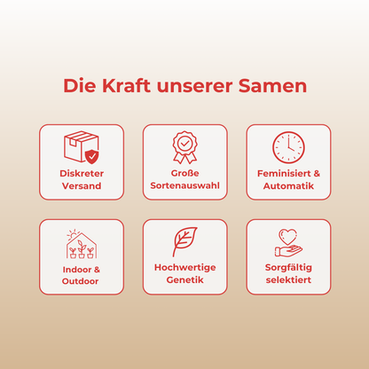 Strawberry Samen Automatik