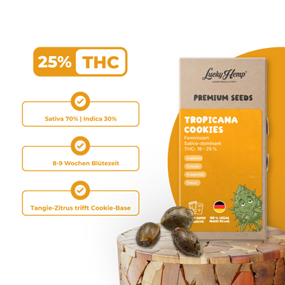 Tropicana Cookies Samen Feminisiert