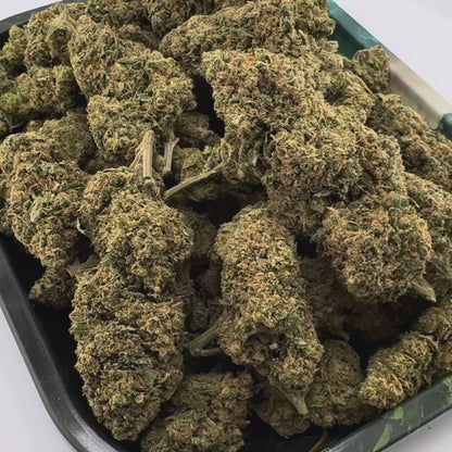 Berry Kush Bulk goods