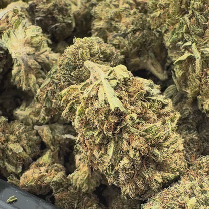 Berry Kush Bulk goods
