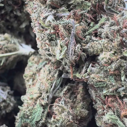 Berry Kush Bulk goods