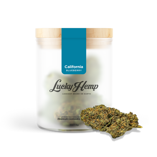 California Blueberry Blüten Lucky Hemp   