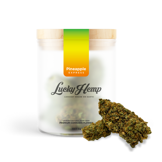 California Pineapple Express Blüten Lucky Hemp   